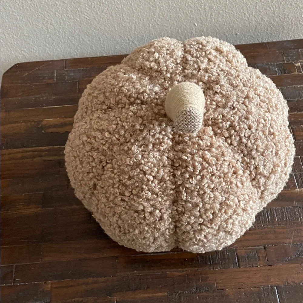 Target Textured Beige Pumpkin Decor
